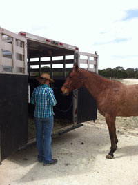 trailering