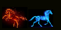 This image has an empty alt attribute; its file name is hot-cold-horse.jpg