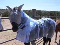 horse in fly suit
